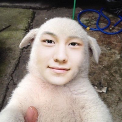 allllllgae_'s profile picture. 톤실톤실