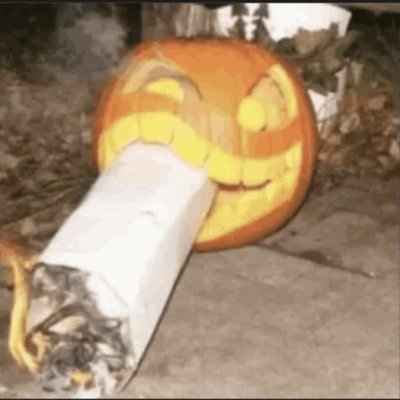 goonermaps_alt's profile picture. the spookiest and WOKEST e-cigarette 
#apptwt @googlemaps69
pronouns 
fag/got