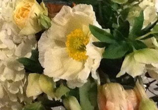 valleyflora2's profile picture. floral designer, wife, mom, and lover of all things yummy, floral and otherwise