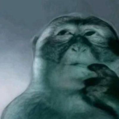 vincequilibrium's profile picture. 21 | elfelejtettem | 🇭🇺🇺🇦🇬🇪🇪🇺🇵🇸