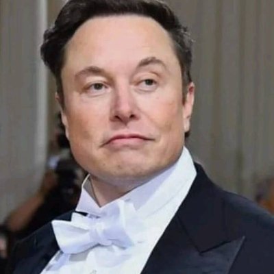 Elon646105's profile picture. Founder, CEO and chief  engineer at SpaceX
Founder, CEO at Tesla
Early stage investors, Founder of the Company