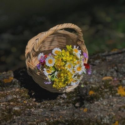 AlhlyMstfy38056's profile picture. لا شي