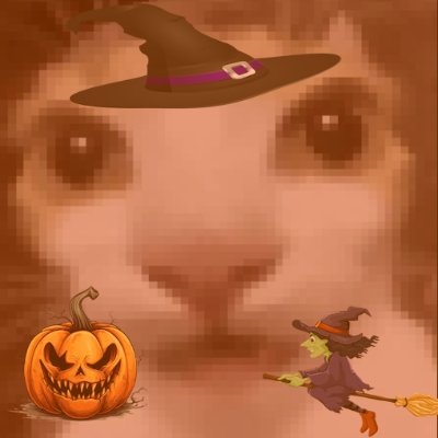 BestName05's profile picture. goodbye :(
the SCARIEST name since 2016
23
he/him
Magyar profilom: @LegjobbBoi