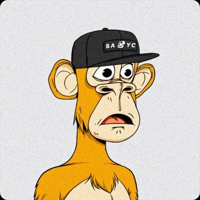 jones_nico49460's profile picture. 