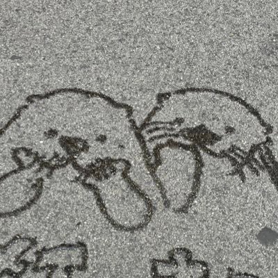 sakurano_morico's profile picture. 好きを集める場所 今はマユリカさんが多め界隈