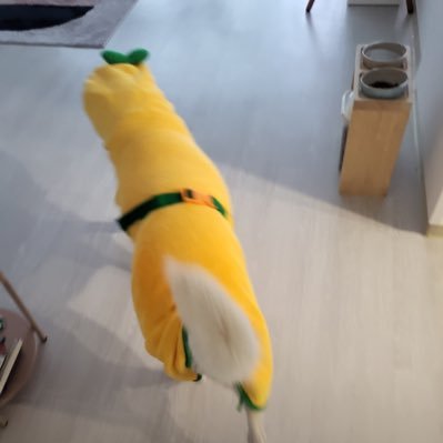 kimmy150924's profile picture. 