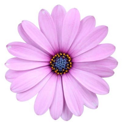 berivanantika's profile picture. Van Yüzüncü Yıl Üniversitesi