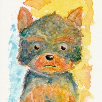 yamatororoさんのプロフィール画像