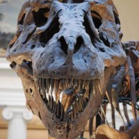 🔞5up3rFr34k🔞 (@throwawaya77610) 's Twitter Profile