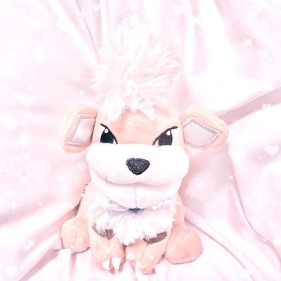 wanwanpo_58's profile picture. ぬい撮り┊無言いいねとフォロー失礼します┊もふもふ┊たまにｶﾞﾃﾞｨ以外のぬいもいる
