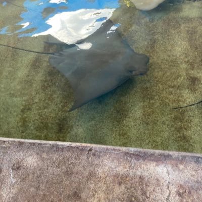 James4872412698's profile picture. I have a variety of things that I like!!!