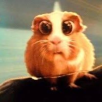 MontySm72666957's profile picture. 