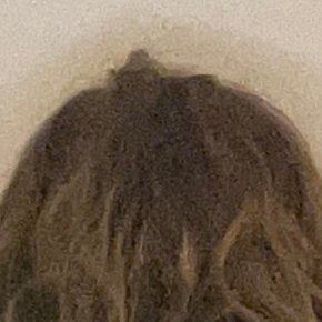kettlesrevenge's profile picture. 
