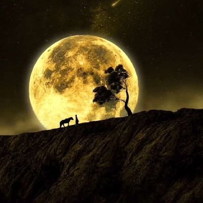 Kosisochuk45293's profile picture. 