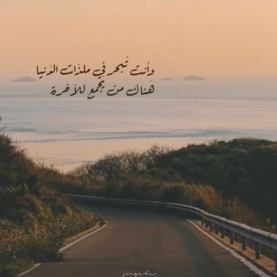 MjdKhss's profile picture. * تعليم