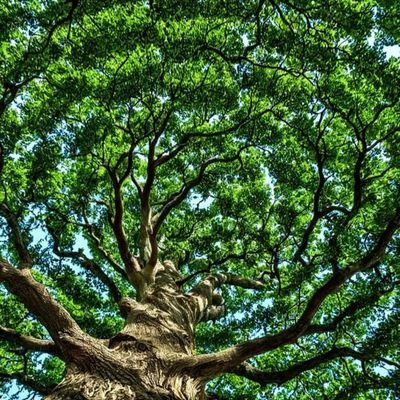 AWMCQ92's profile picture. 