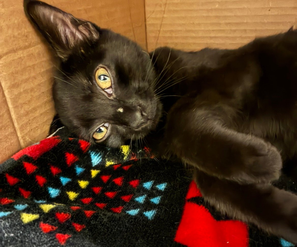 AugustLovetabz's profile picture. 