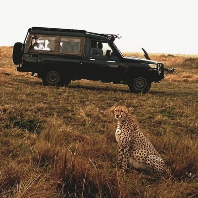 iMManih's profile picture. 