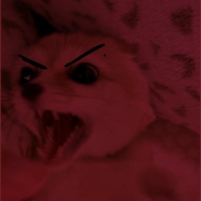 theevilfox_de's profile picture. “Who are you?!” said Foxde. “I’m you, but sick and evil.”