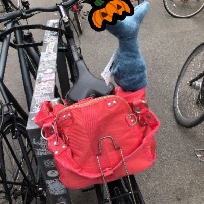 LoveLizzzyy's profile picture. She/her

161