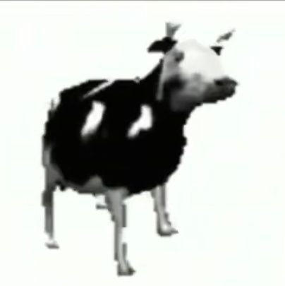 naiziziiiii's profile picture. ε=ε=ε=(ﾟ◇ﾟﾉ)ﾉ