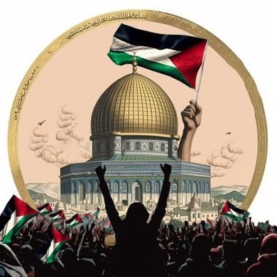 NumanBin's profile picture. 