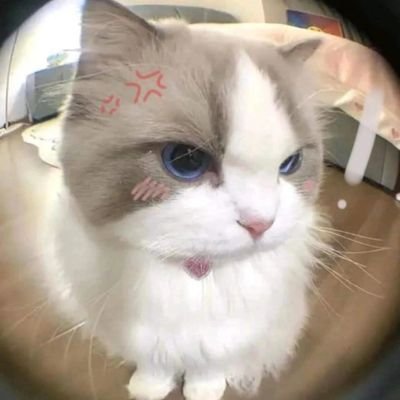 na_khang91843's profile picture. ไลน์ nnni6401 ฝากรีโพสด้วยนะพึ่งสมัครใหม่
หญิงแท้💯 22y ไม่นัดฟรี
       หาค่าขนมหาคนซัพพอต