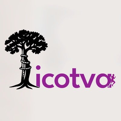 icotva's profile picture. ICOTVA representa el equipo líder en traumatología y cirugía ortopédica en Valladolid. Traumatologos en Valladolid. Traumatología infantil en Valladolid.