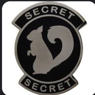 INice33401's profile picture. simple command structure scusi scuzi ascii.
...can we admit the Gulf War is still happening?
wokist ideology...if you pull out, you aren't responsible.