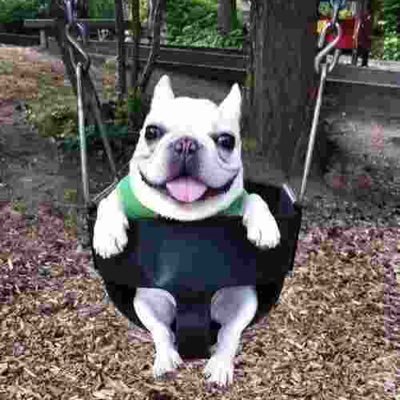 ghostof2n8's profile picture. Arsenal, Hawks, Braves