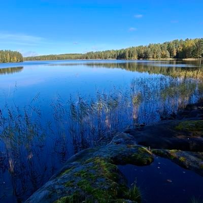 ICE131313131313's profile picture. hii