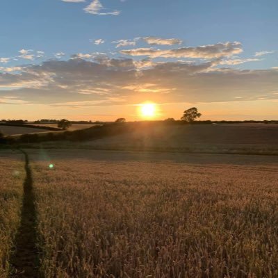 HairyMonkeyB8's profile picture. 54y slutty masculine bottom daddy I bate and goon with poppers to porn. DM’s are open✊🤪🐒🔞🦶🏻🧦🏴󠁧󠁢󠁥󠁮󠁧󠁿👌ILBAB DM’s open. 1on1 verbal.