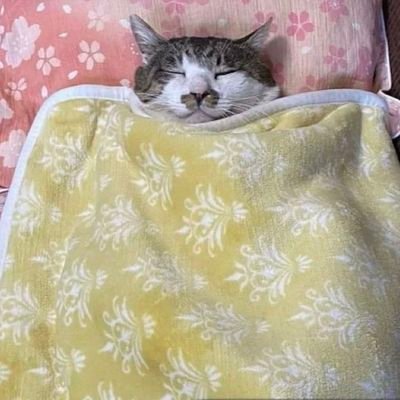 juninind's profile picture. 