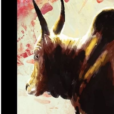 tweetsss23's profile picture. election 2026