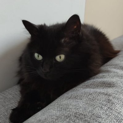 Pickles (^ᴥ^)∫さんのプロフィール画像