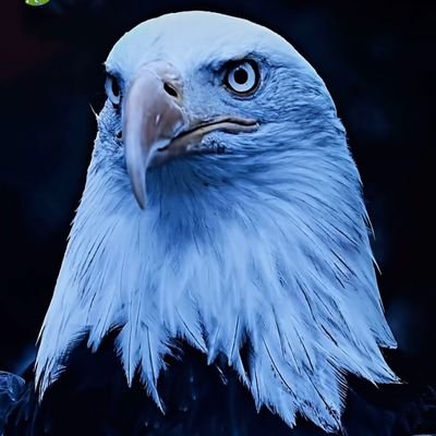 InfoConsulting4's profile picture. 