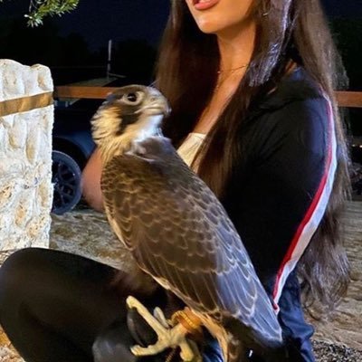 rx2eli's profile picture. 