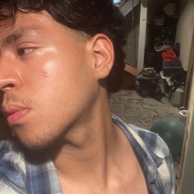 TuPapichuulo's profile picture. m19