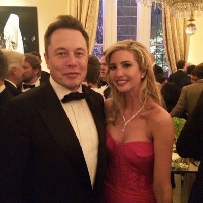 mrmusk6829's profile picture. Hope you have started the new project?