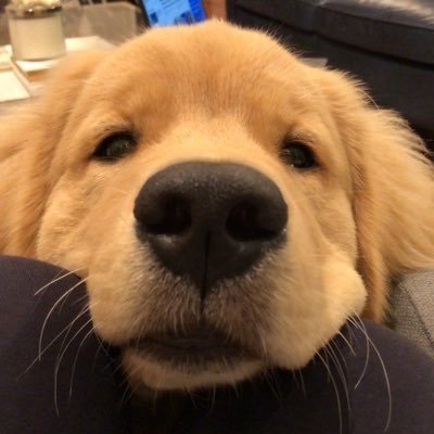 harunarakk's profile picture. 