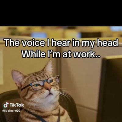 omalichaoffice's profile picture. 