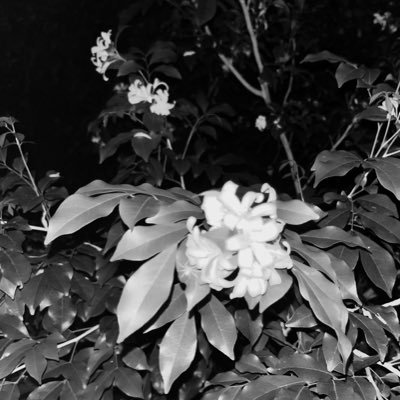 resthergo's profile picture. อนิจจัง ทุกขัง あなた