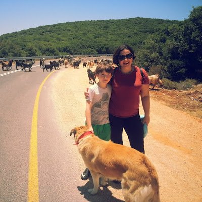 b1oaz88519's profile picture. 