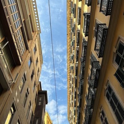 YashSha07374468's profile picture. https://t.co/CtOV8MZNVH