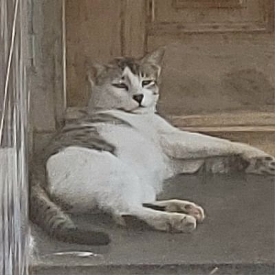 teknical_billa's profile picture. Just someone who loves tech and good vibes 🫡👋☀️