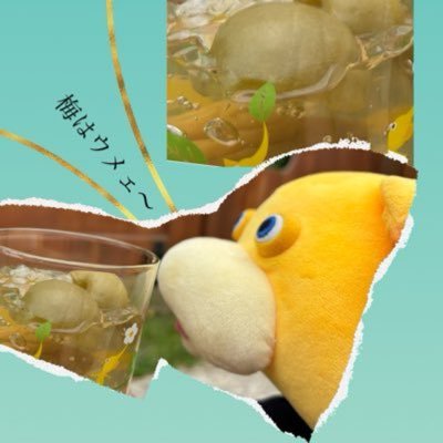 jorisa2_6's profile picture. 目の不調につきRP専用🔄又は休止中🍀ブロ解ご自由に🧎TikTokは生息中🔗 https://t.co/7TEZ6LJNGm 最推しRAN🦅bmsg関連🔁ｻﾌﾞ @Risakko0206