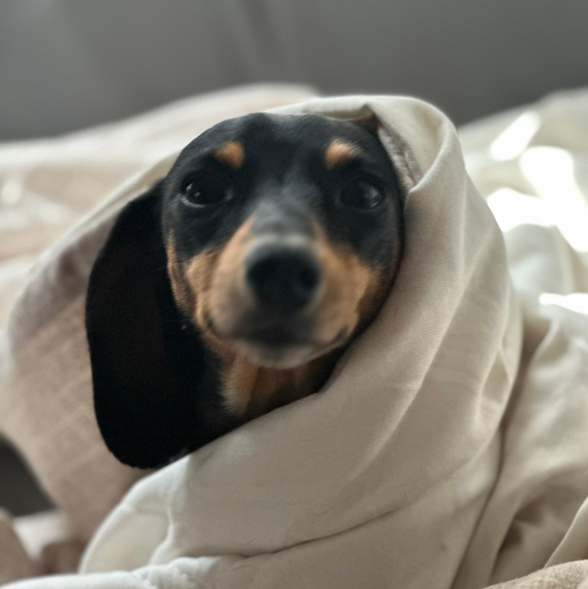 JJCS45's profile picture. 