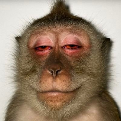 666_bolang's profile picture. PRIVATE GROUP HUNTING STW