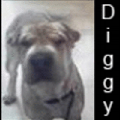LethLostPet_-_Animated_Gif_-_March_27-2012_400x400.gif LethLostPet_-_Animated_Gif_-_March_27-2012_400x400.gif