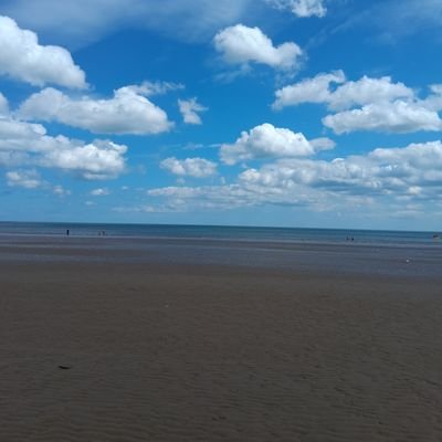 dibbydabbydoo2's profile picture. 